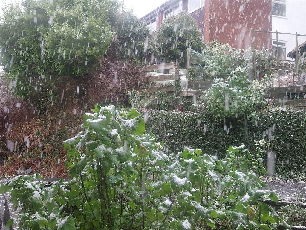 snow3