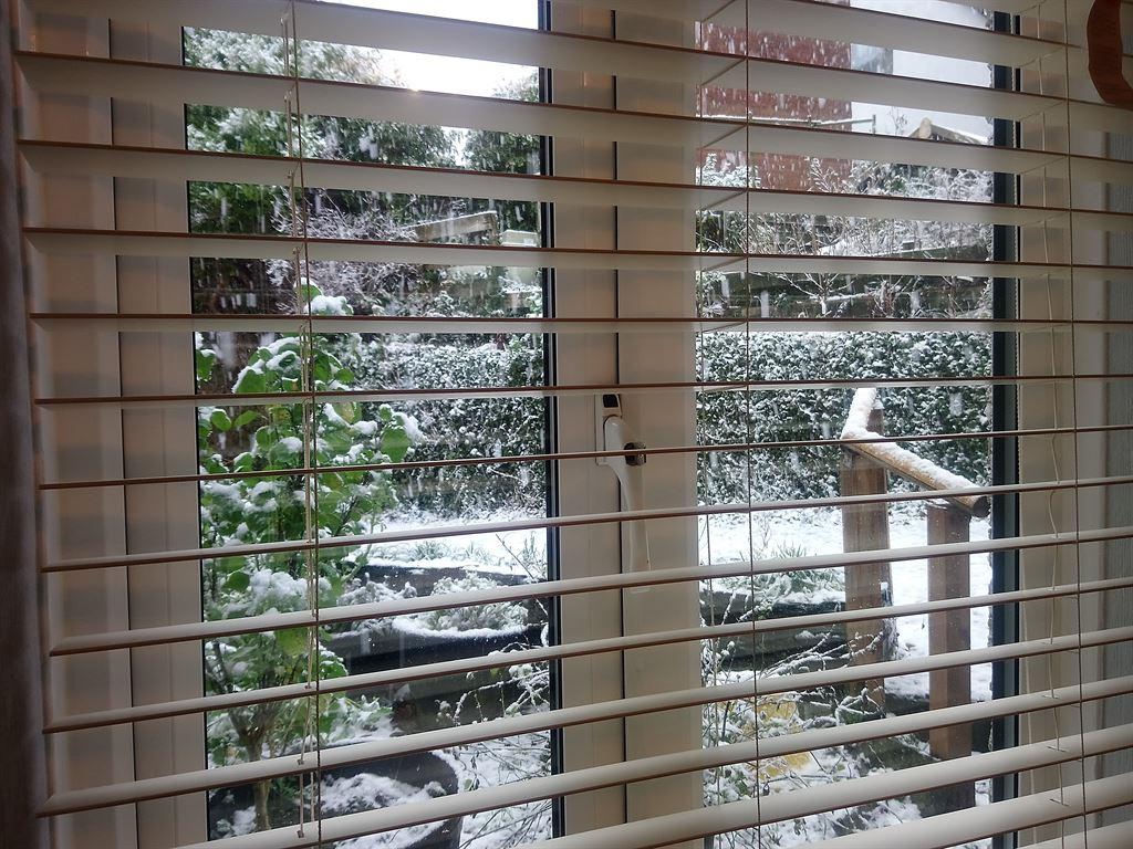 snow4