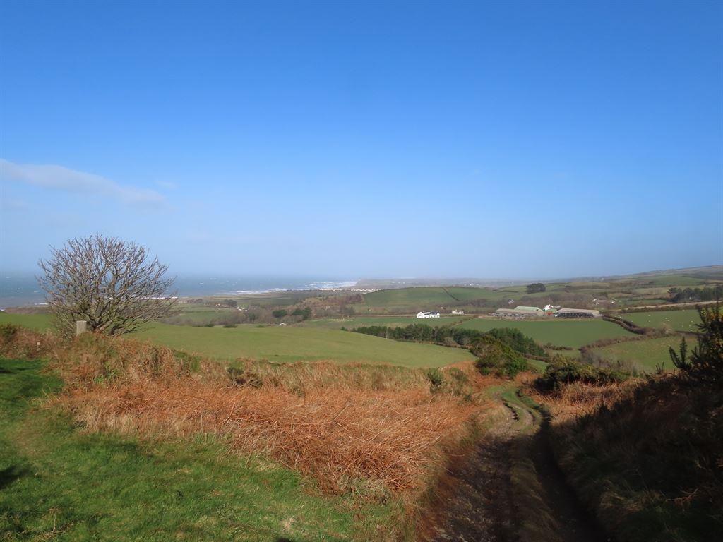 view