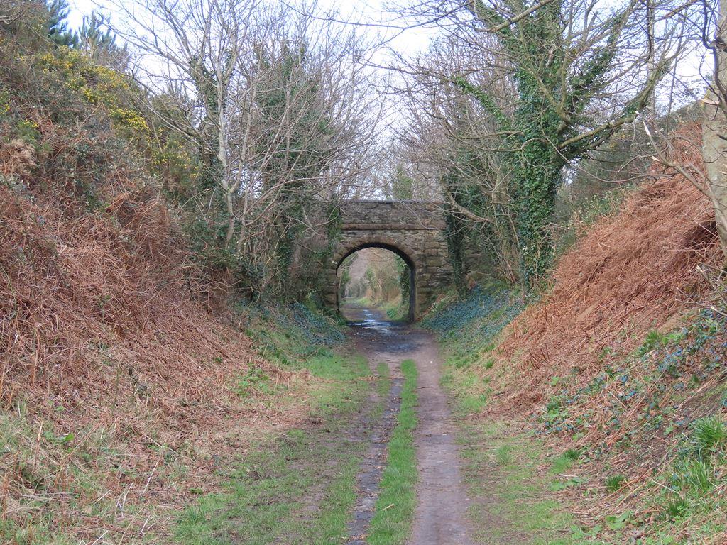 bridge2