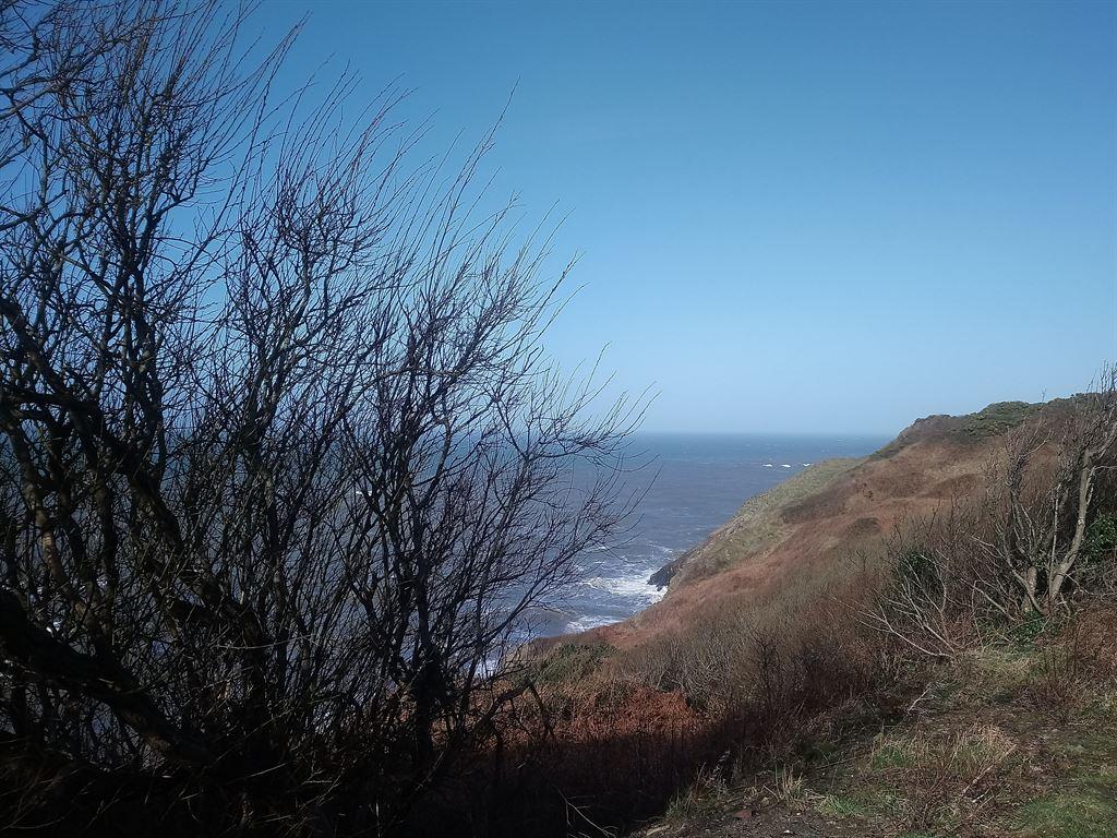 coast
