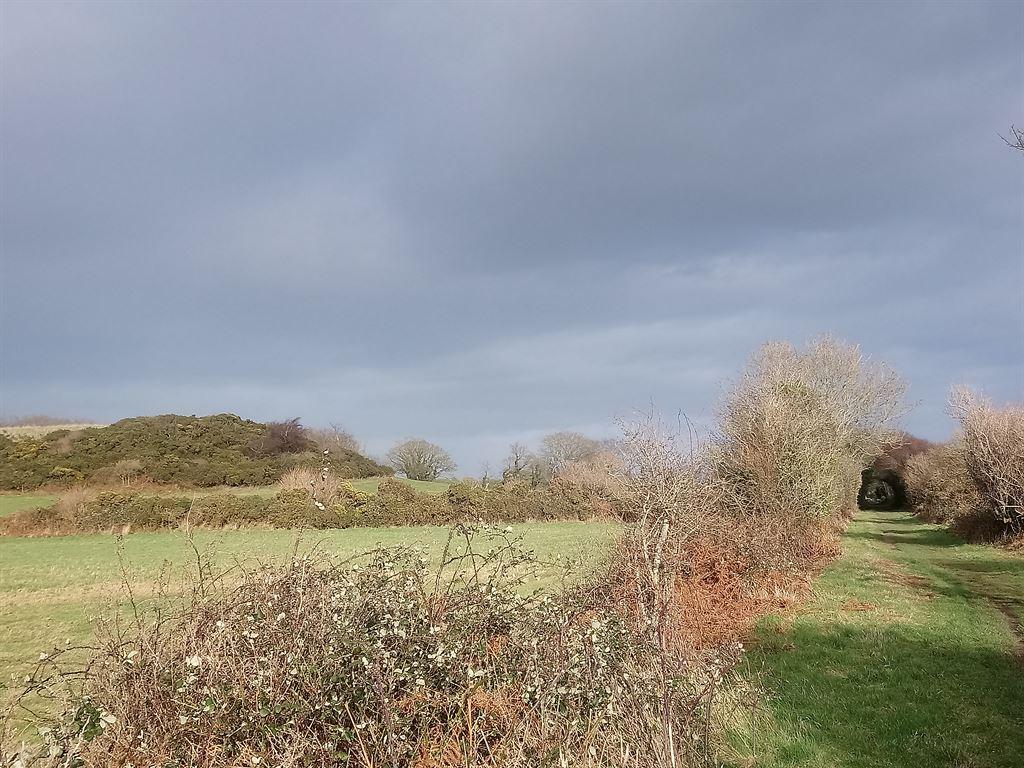 weather