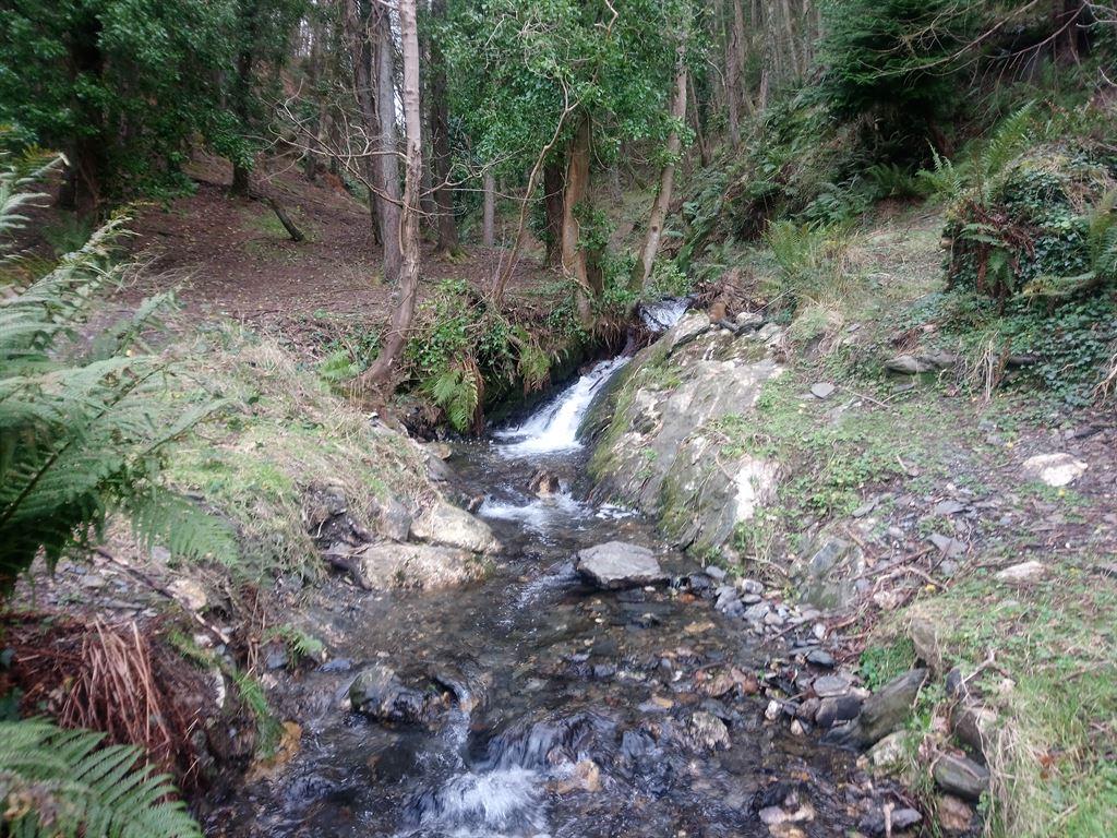 stream