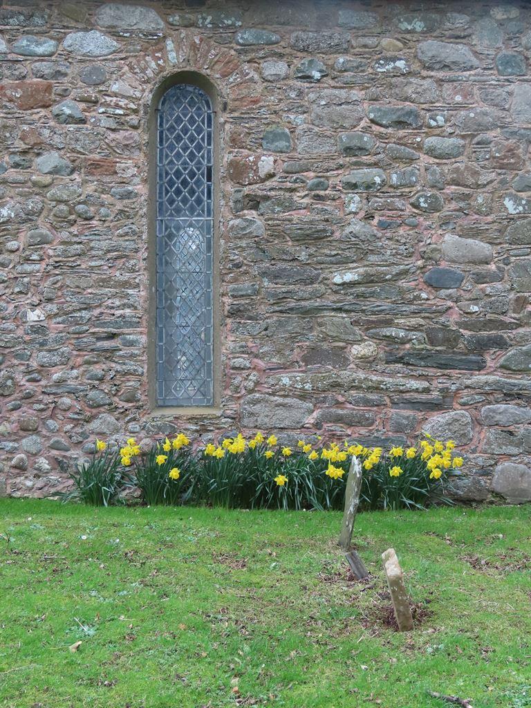 daffs