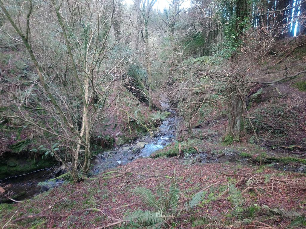 stream1