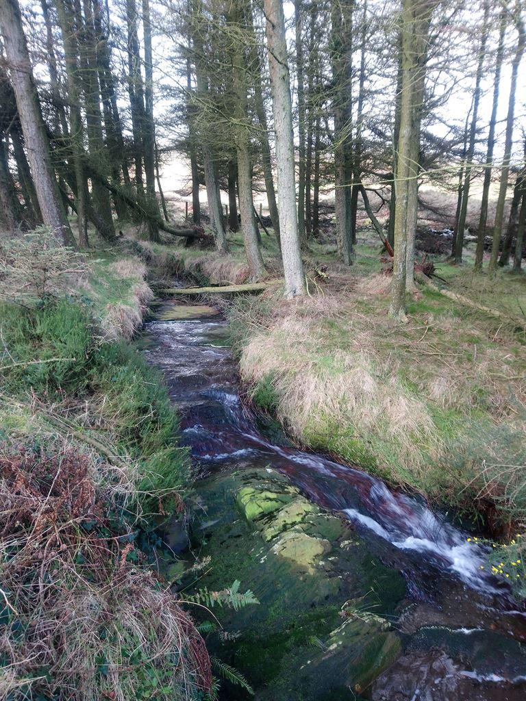 stream3