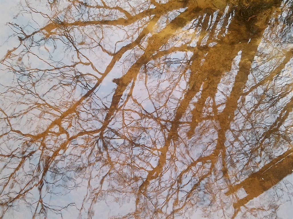 reflections