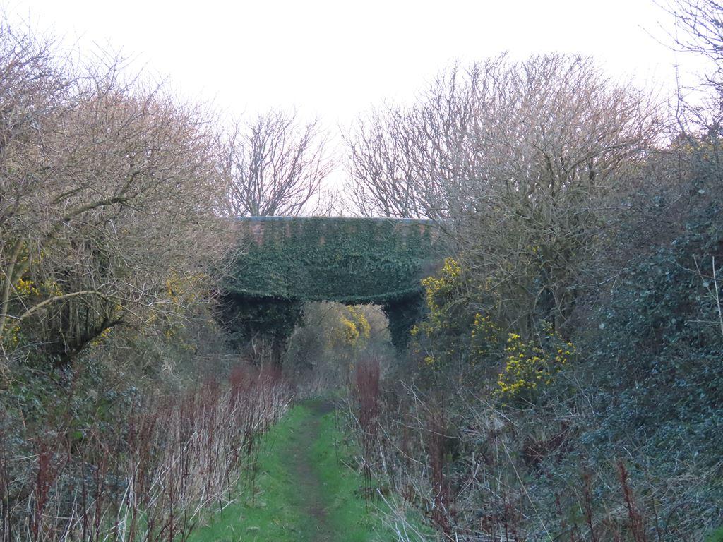 bridge2