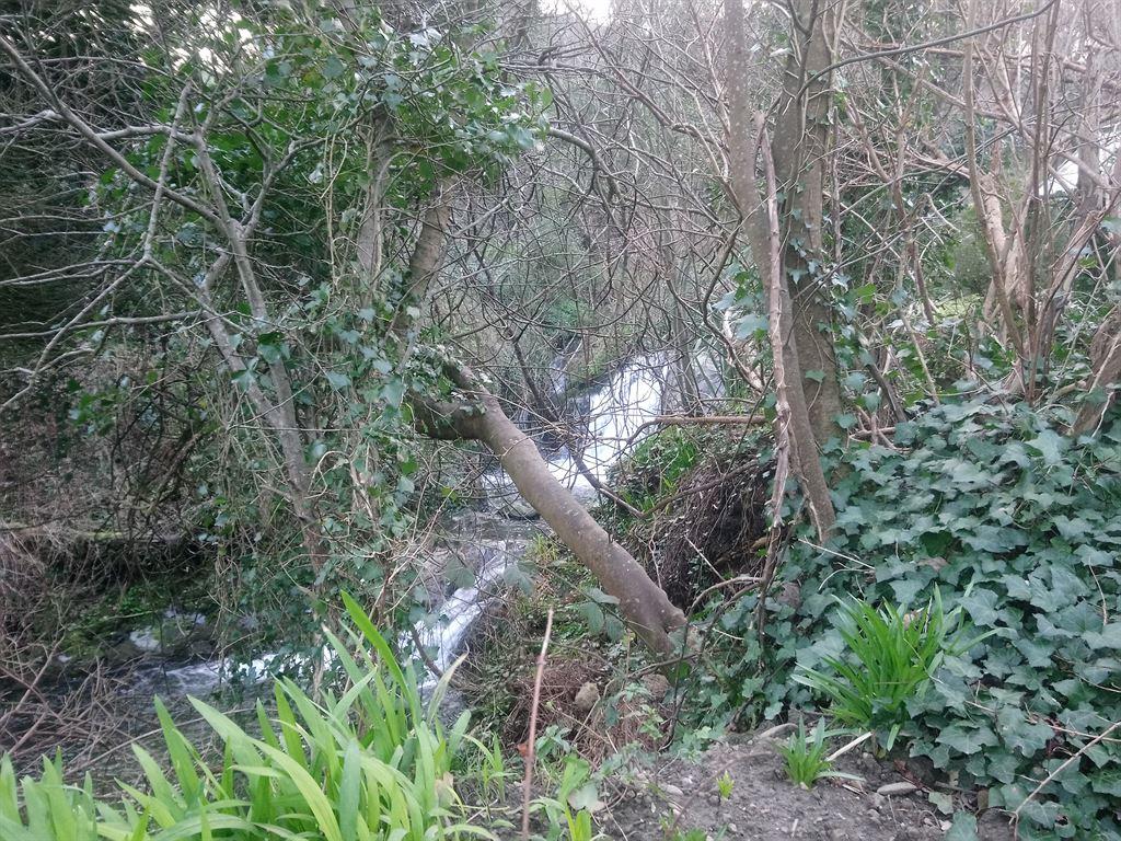 stream