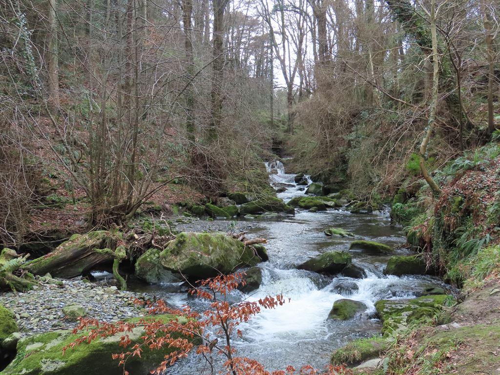 glen5