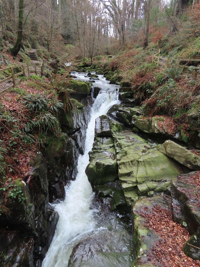 glen6