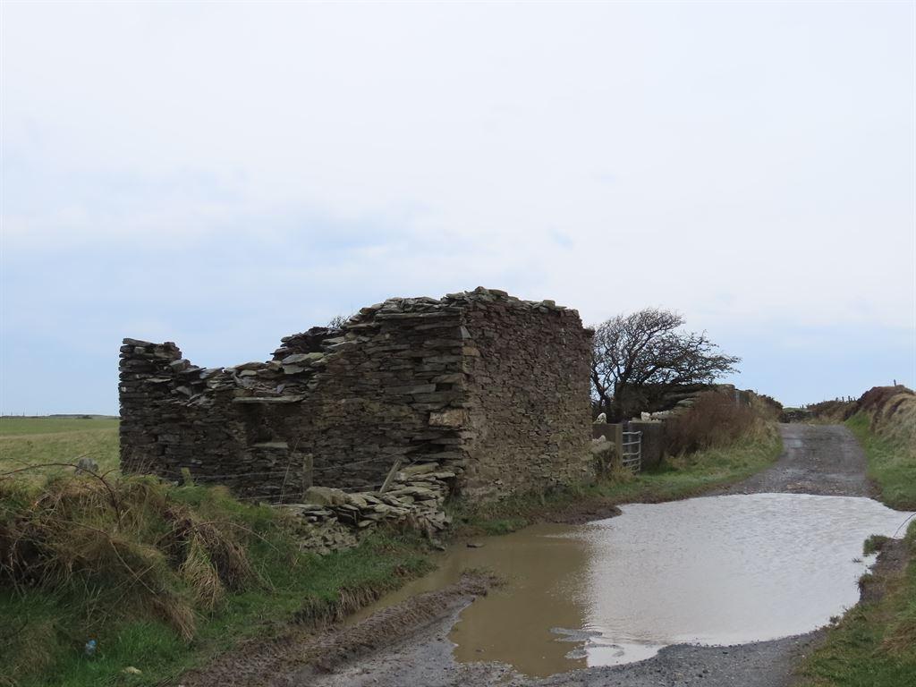 tholtan