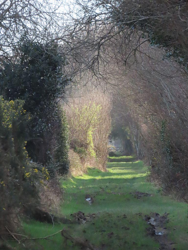 tunnel