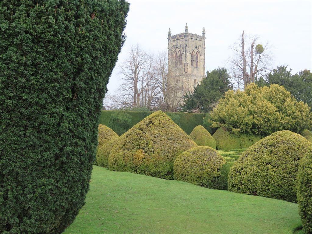 topiary2