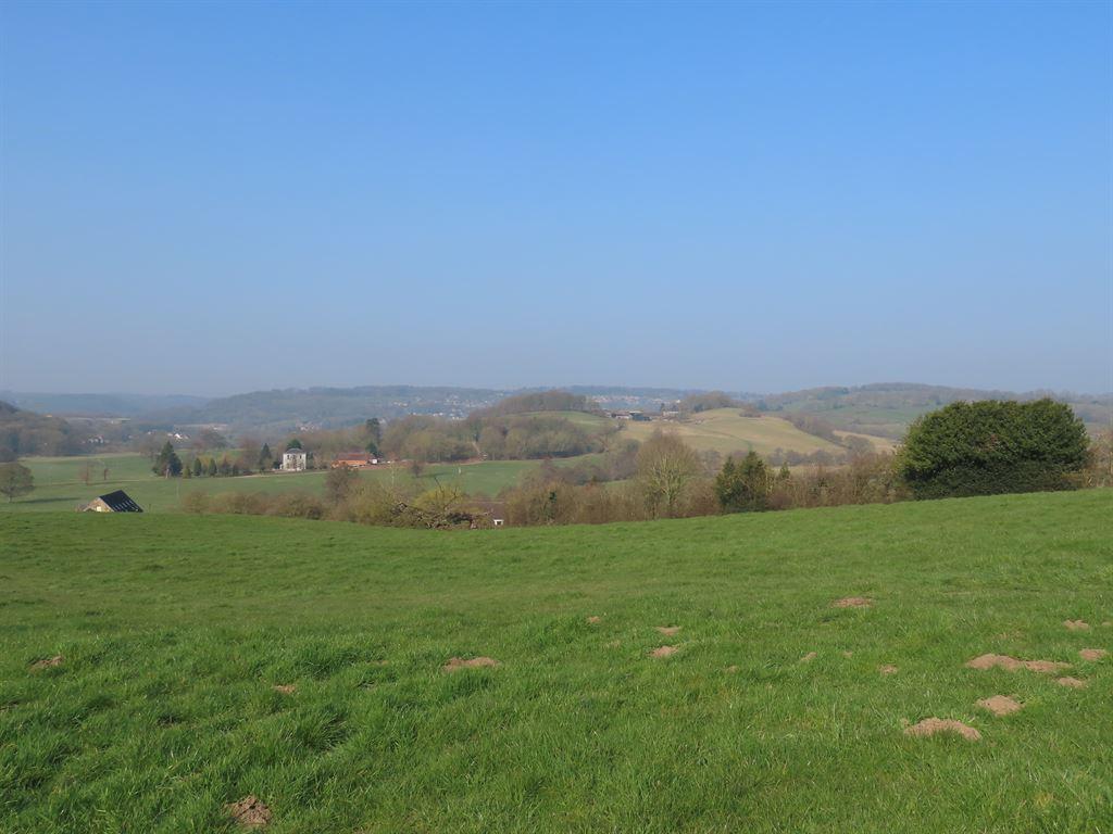 fields