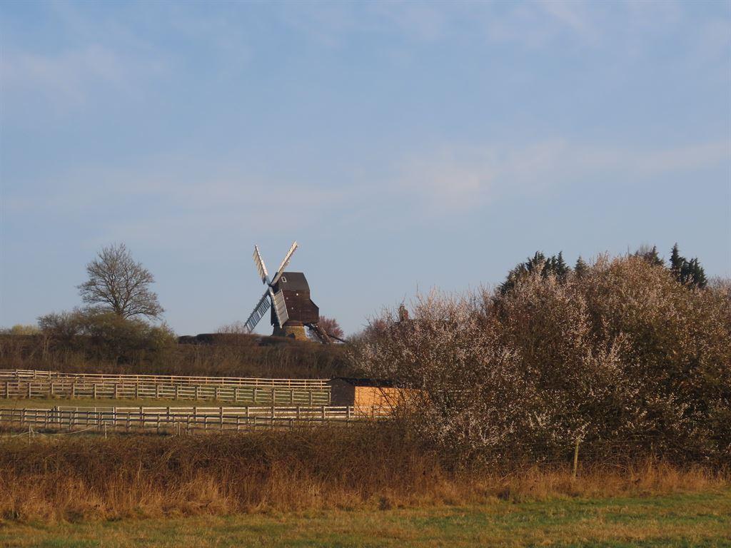 windmill
