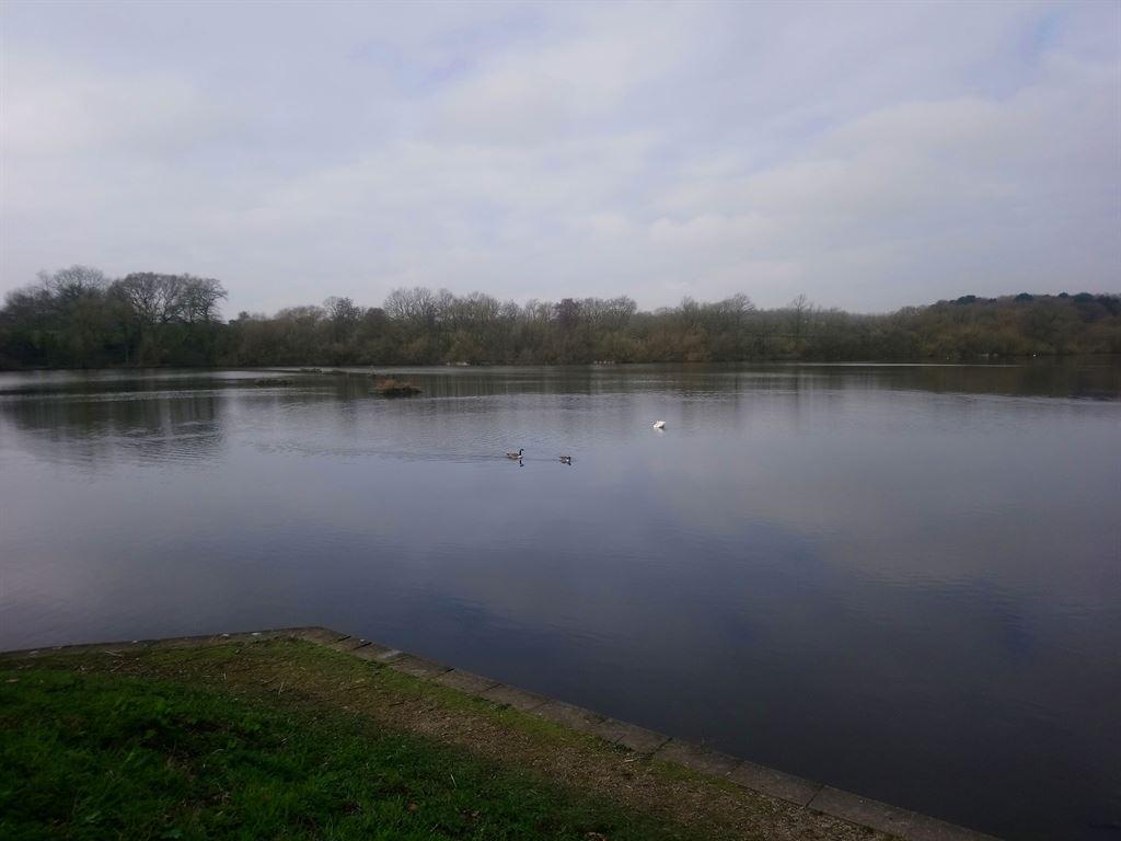 reservoiragain