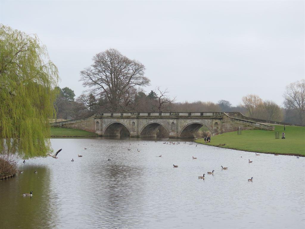 bridge