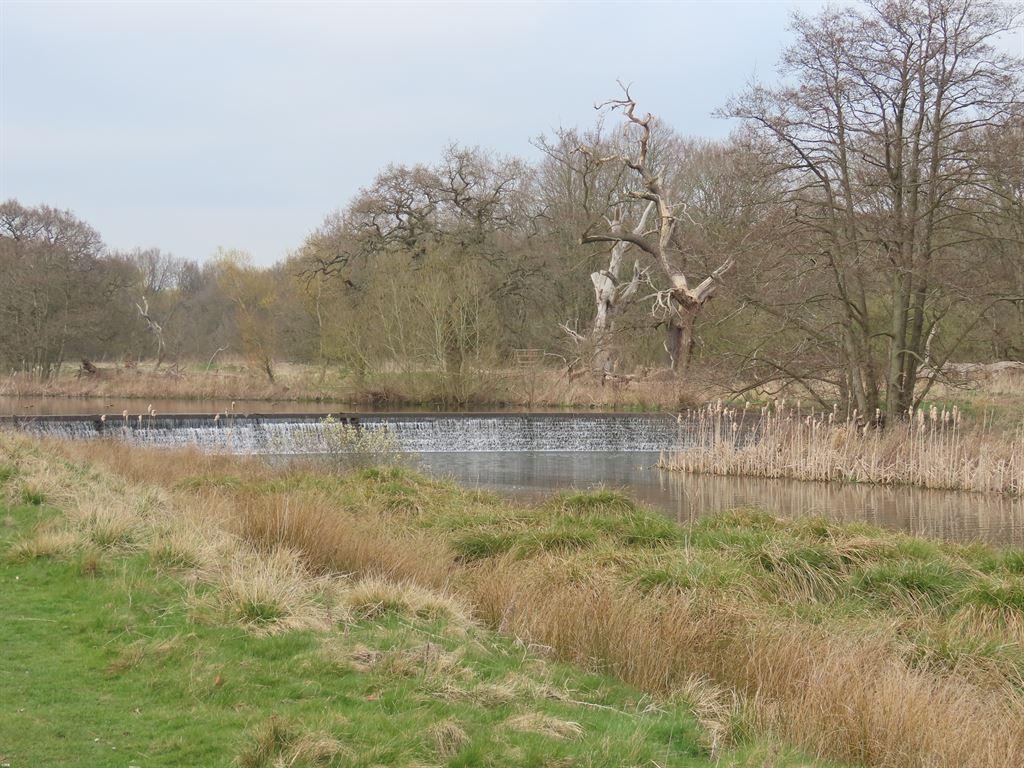 finalweir