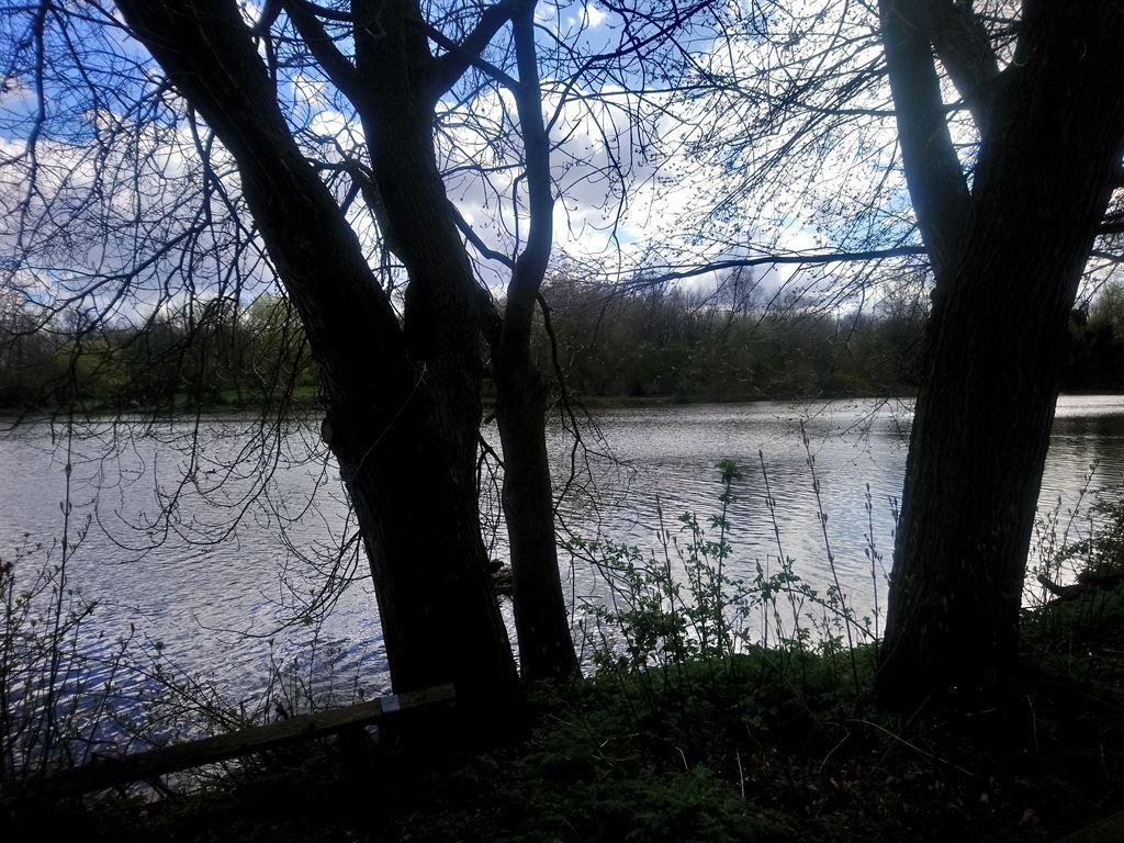 suttonlawn1