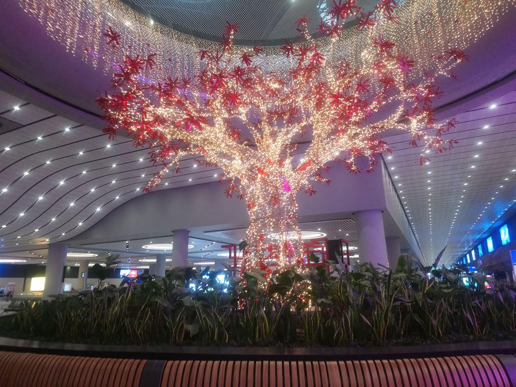 airport2