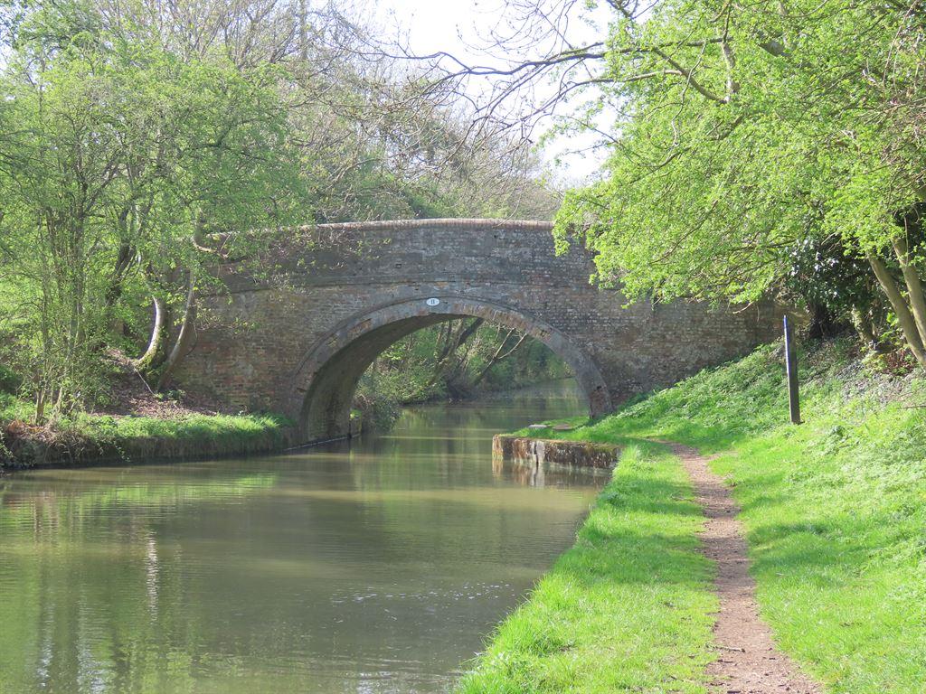 bridge1