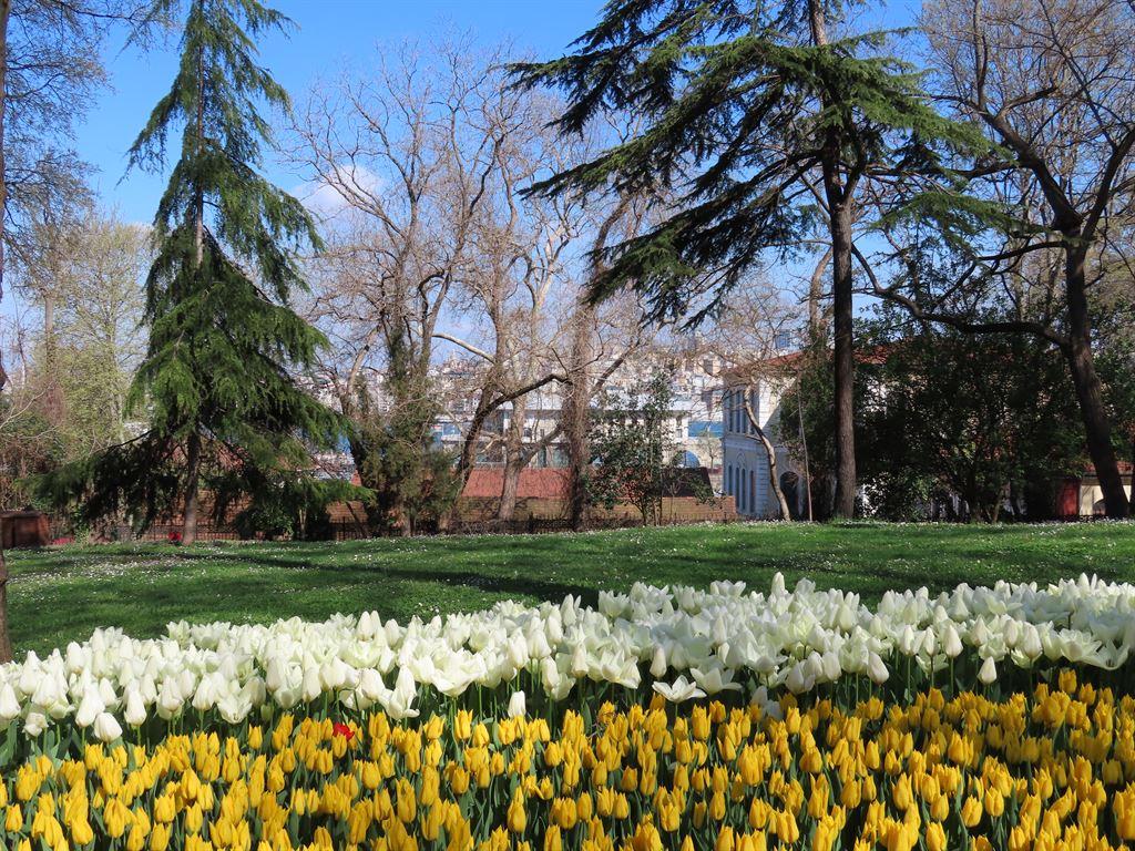 yellow&white