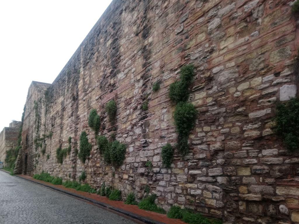 walls5