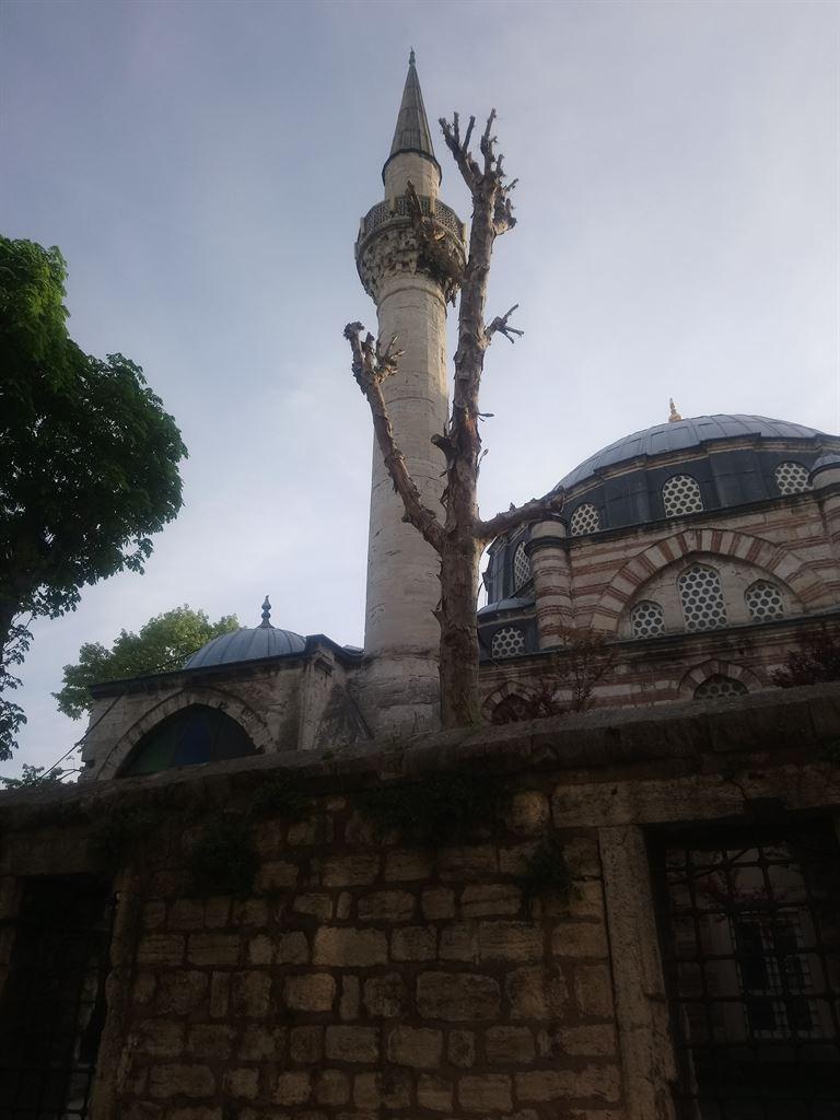 localmosque