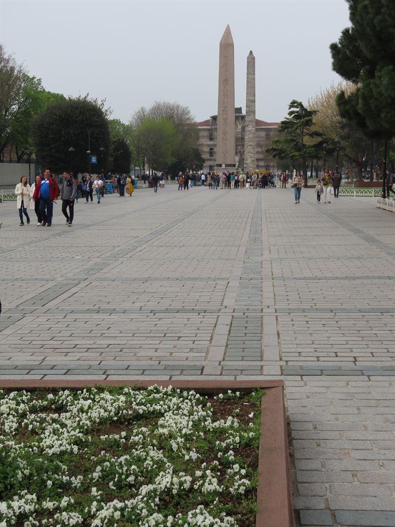 hipposquare