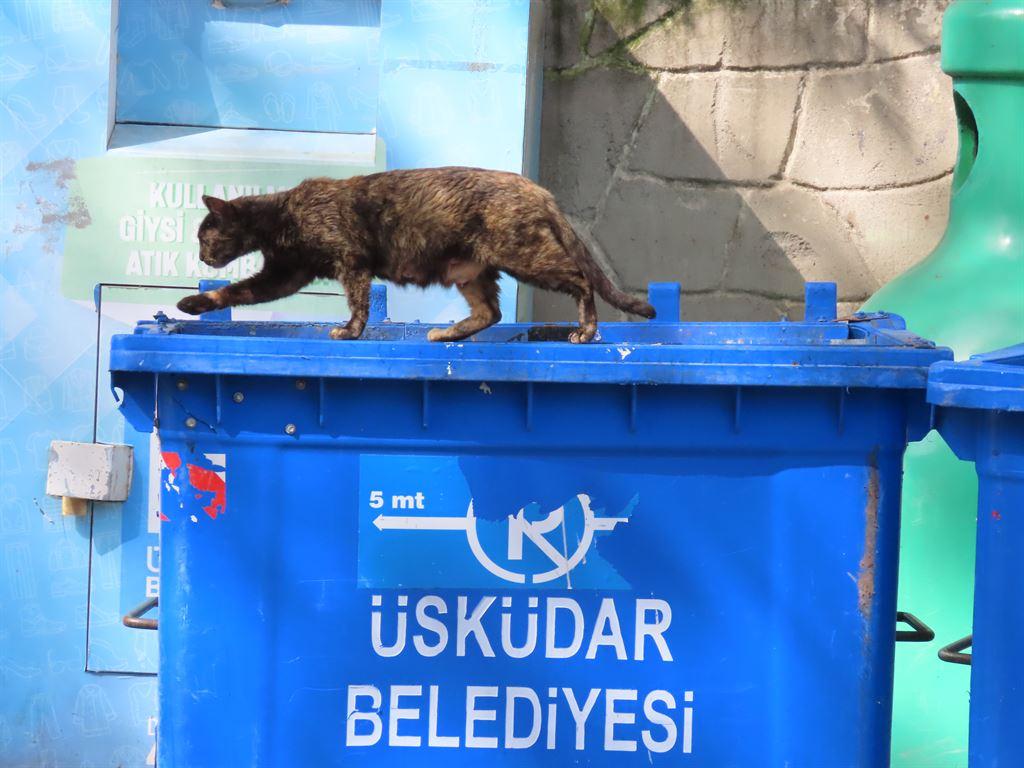 bin