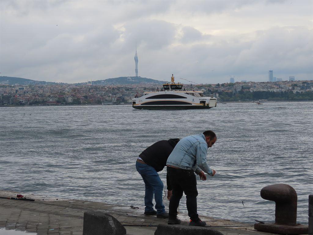 fishers