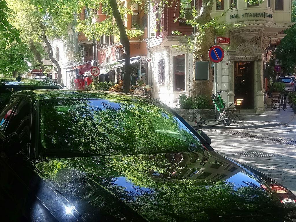 leafy1