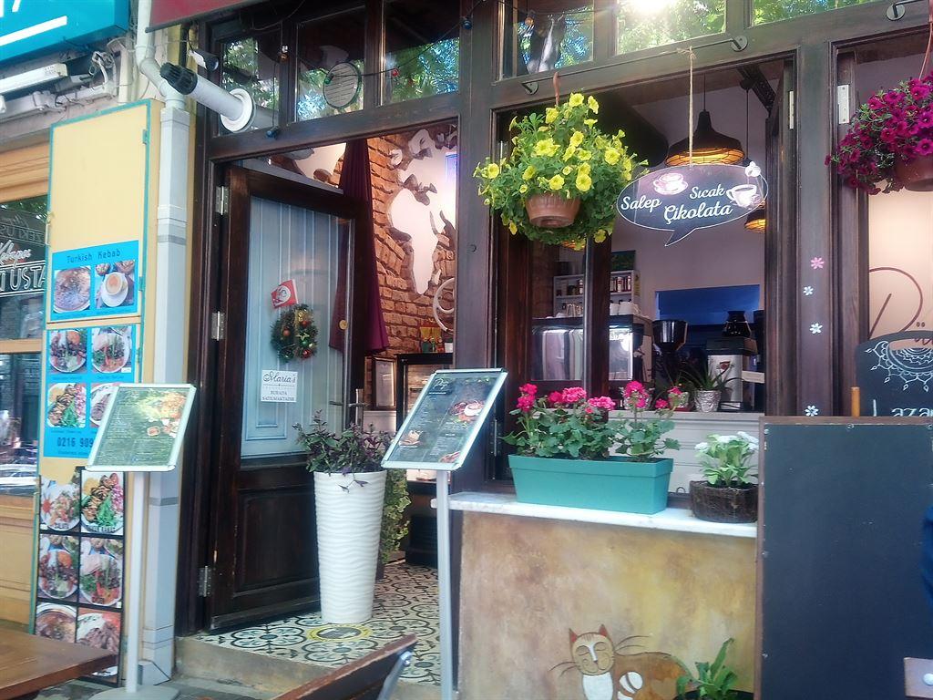 cafe