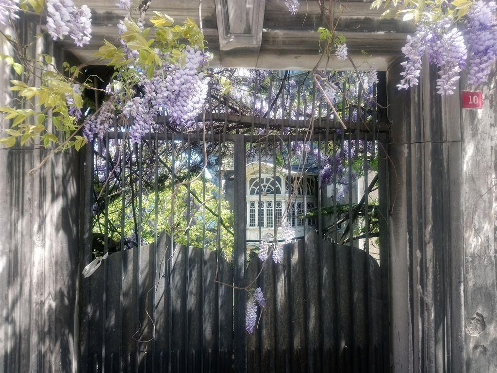 gate