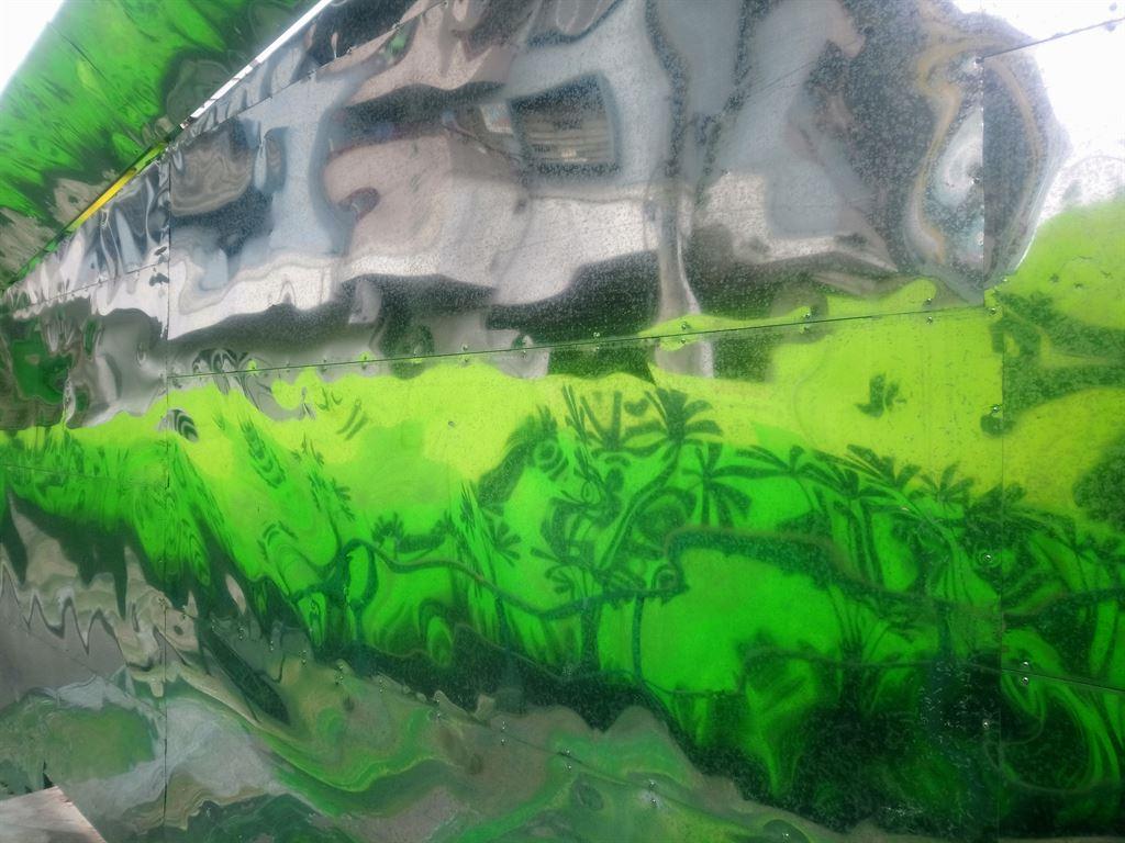 greenreflex
