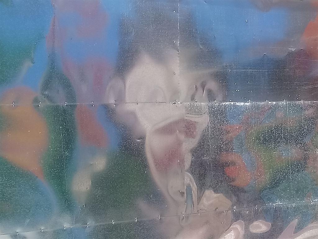 facereflection