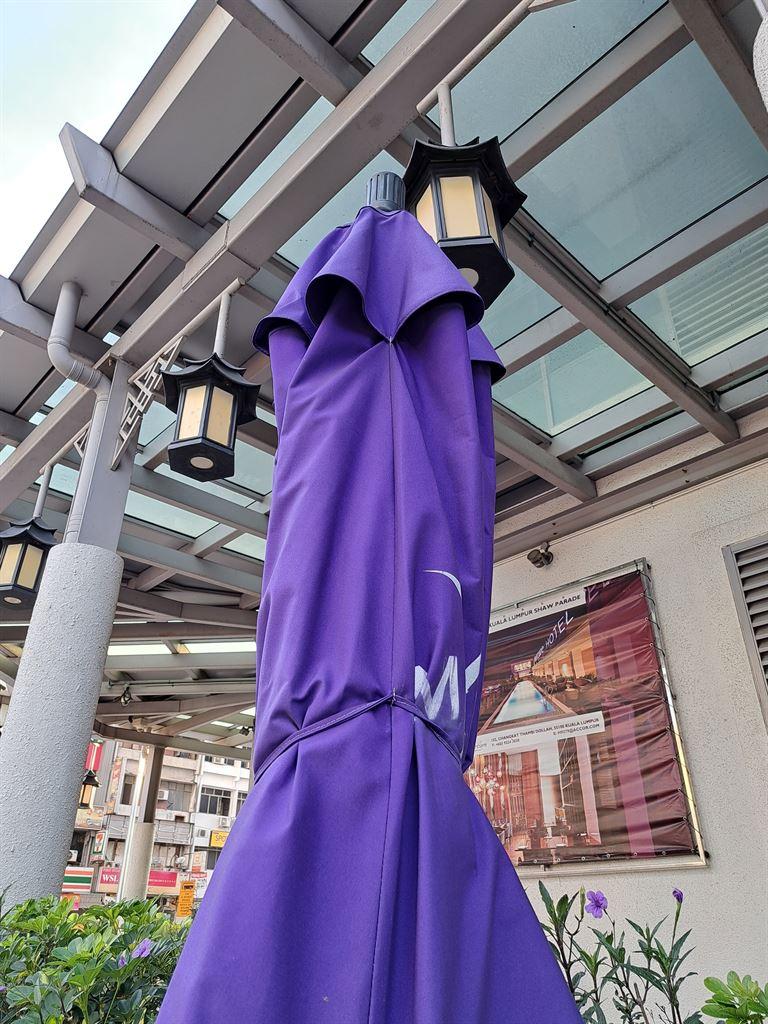 umbrella