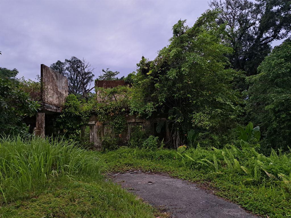 tumbledown