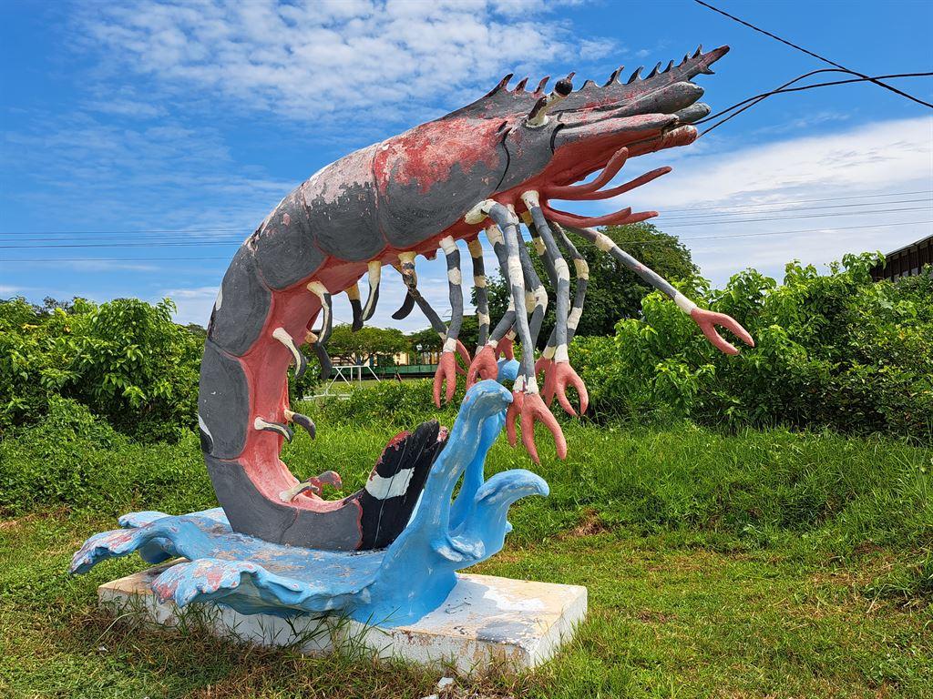 prawn