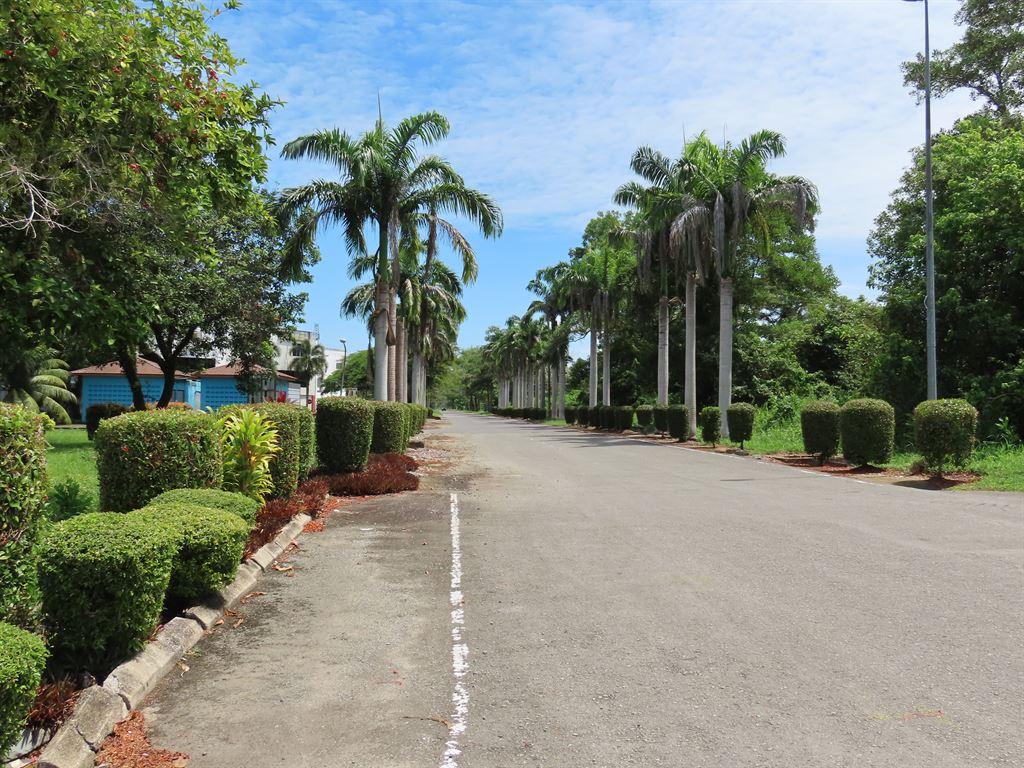 avenue