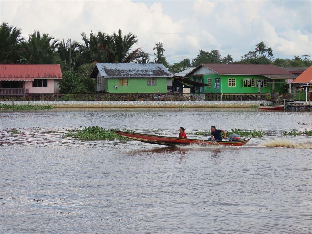 boat