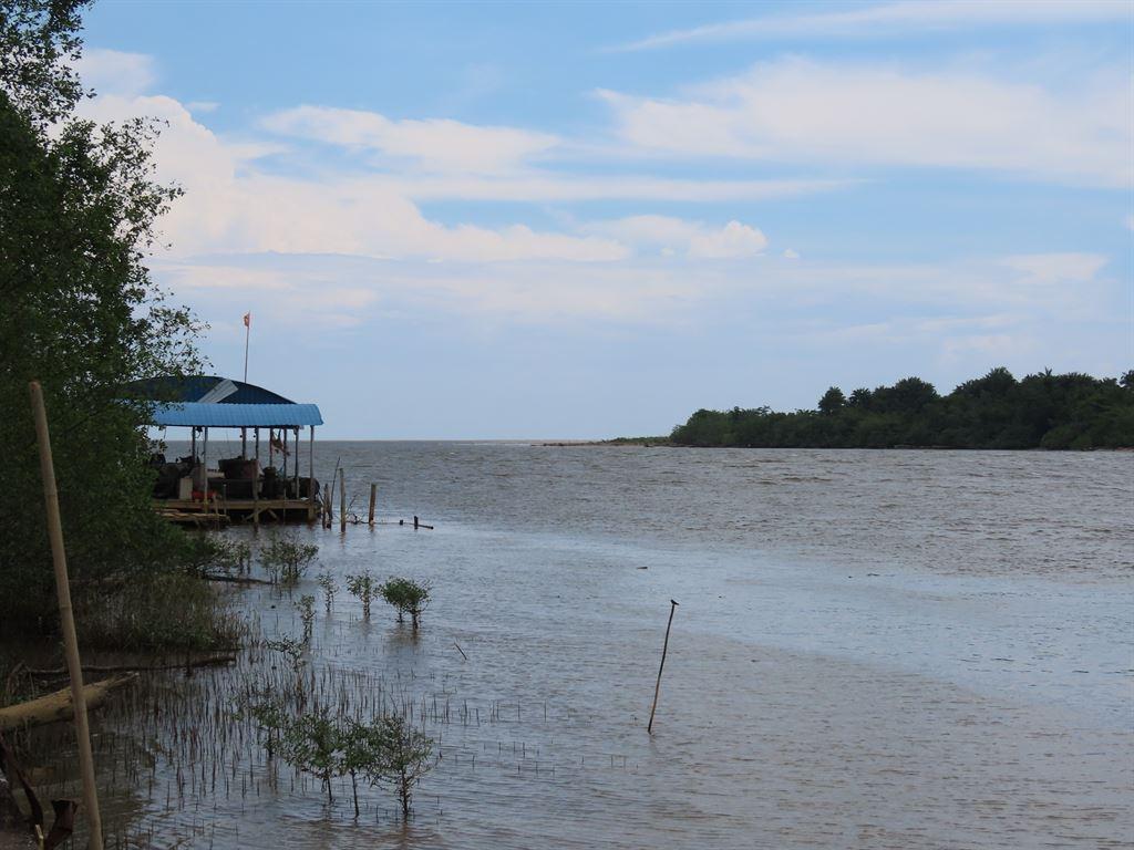 estuary