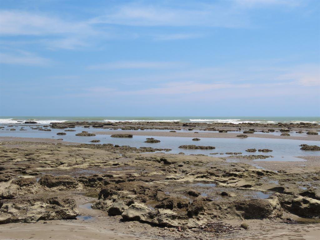 kualan1