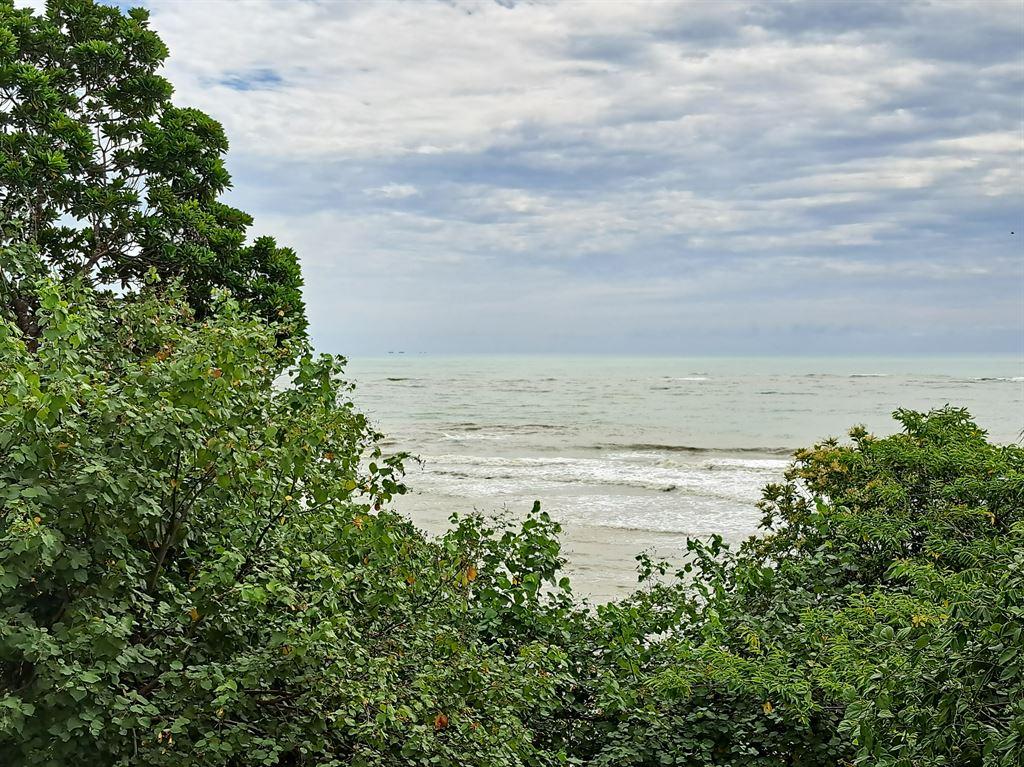 greensea