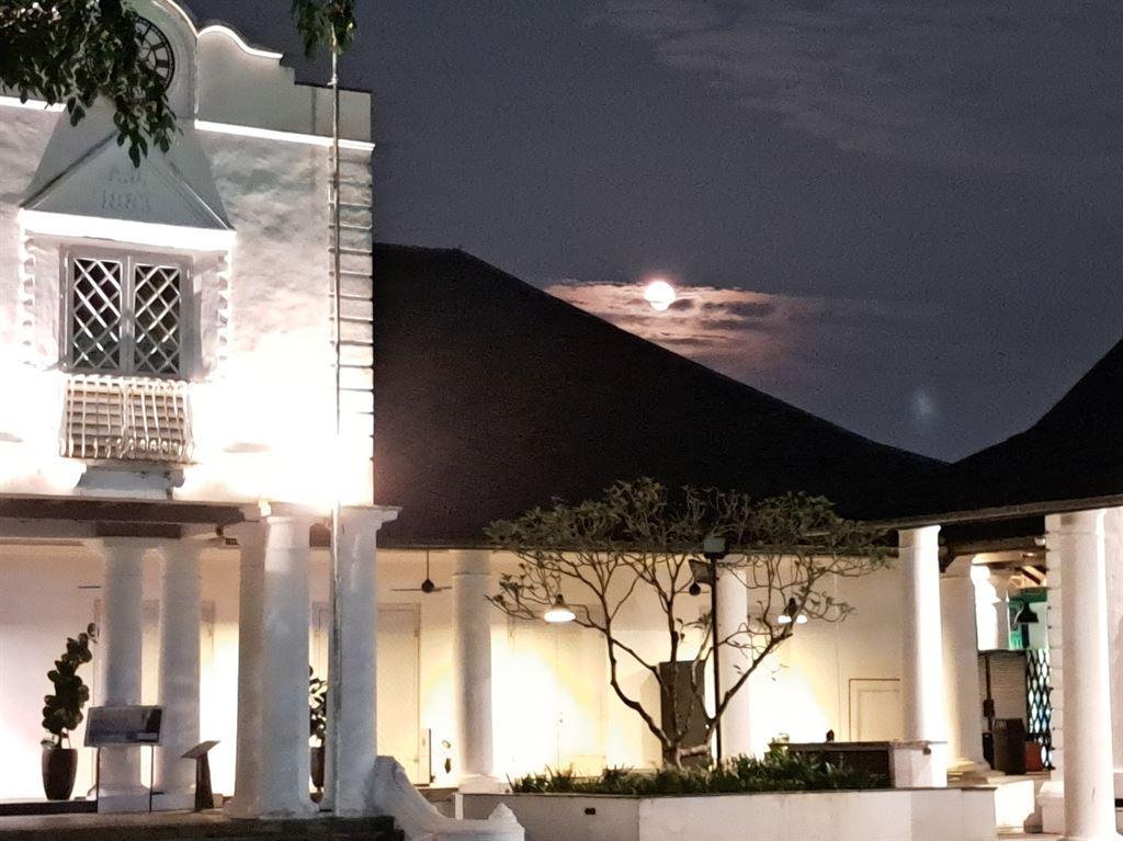 moon&court