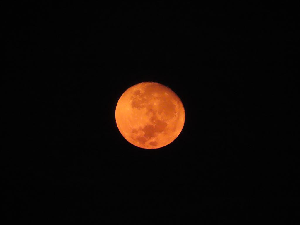 goldenmoon