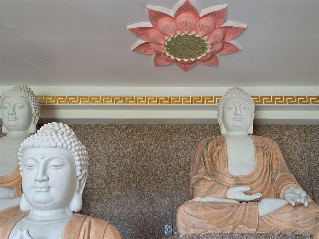 lotus&buddhas