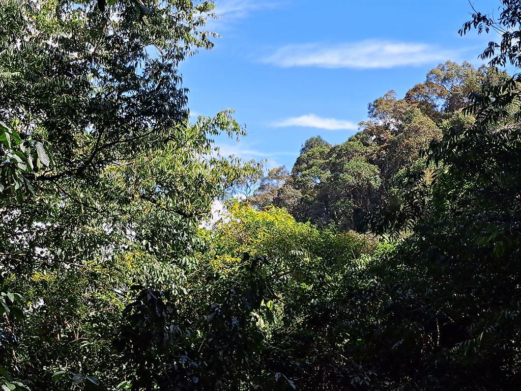 bluesky