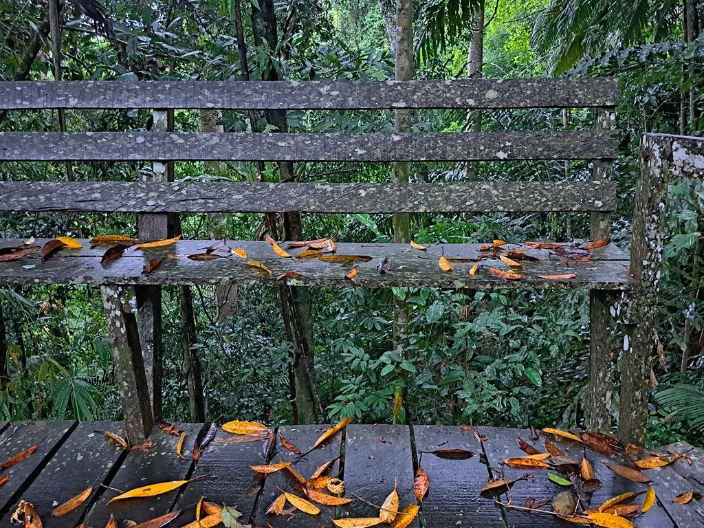 bench